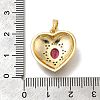 Barss Rhinestone Pendants KK-V002-08G-03-3