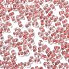 Luminous Glass Seed Beads X1-SEED-A033-07M-4