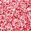 Baking Paint Glass Seed Beads SEED-S042-05B-46-3