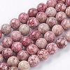 Natural Fossil Coral Beads Strands G-F563-01-10mm-1