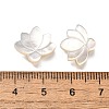 Natural White Shell Beads BSHE-Z008-09-4