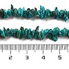 Natural HuBei Turquoise Beads Strands G-B089-A01-02-5