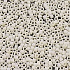 MIYUKI Delica Beads SEED-MY11-DB0883-3