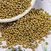 MIYUKI Round Rocailles Beads SEED-G008-RR4202-1