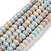 Natural Rainbow Alashan Agate Beads Strands G-NH0022-M01-01-1