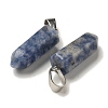 Natural Blue Spot Jasper Pendants G-Z067-07P-12-3