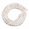 Natural Rainbow Moonstone Beads Strands G-G161-A01-03-3