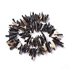 Freshwater Shell Beads Strands X-BSHE-O017-12-2