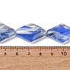 Transparent Handmade Lampwork Beads LA-CBAF0C8-02F-3