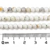 Natural Green Opal Beads Strands G-Z035-A02-03D-5