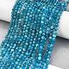 Natural Apatite Beads Strands G-Z057-B02-02-2