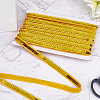 Polyester Ribbons SRIB-WH20020-008M-7
