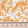 MIYUKI Round Rocailles Beads X-SEED-G009-RR4454-4