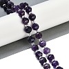 Natural Amethyst Beads Strands G-G182-B50-05-2