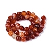 Natural Red Agate Beads Strands G-Q608-08A-04-3