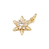 Brass Micro Pave Cubic Zirconia Charms LS-KK-H077-02G-05-2