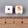 Handmade Porcelain Beads PORC-N012-13E-3