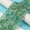 Natural Green Strawberry Quartz Beads Strands G-Z034-A02-03-2