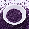 MIYUKI Delica Beads X-SEED-J020-DB0281-2