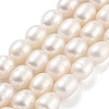 Natural Cultured Freshwater Pearl Beads Strands PEAR-P062-10I-1