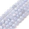 Natural Blue Lace Agate Beads Strands G-F222-30-10mm-01A-2