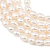 Natural Cultured Freshwater Pearl Beads Strands PEAR-F020-15-4
