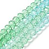 Transparent Painted Glass Beads Strands X1-DGLA-A034-T6mm-A16-2