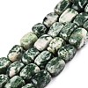 Natural Green Spot Jasper Beads Strands G-T138-96-4