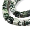 Natural Green Spot Jasper Beads Strands G-T139-6x6-23A-3