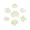 Luminous Flower Resin Cabochons CRES-T025-10G-4