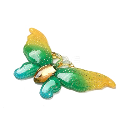 Gradient Color Resin Pendants RESI-Q012-03F-1