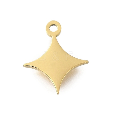 304 Stainless Steel Charms LS-STAS-U027-10G-03-1