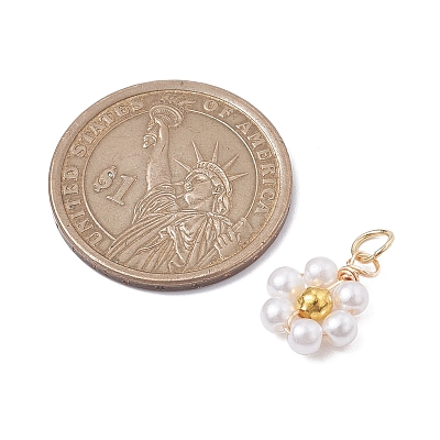Acrylic Flower Charms PALLOY-JF02559-1