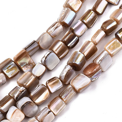 Natural Freshwater Shell Beads Strands X-SHEL-N026-124-1
