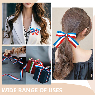 20M Polyester Striped Elastic Cords SRIB-WR0001-13-1