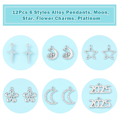 12Pcs 6 Styles Alloy Pendants FIND-FS0003-38P-1