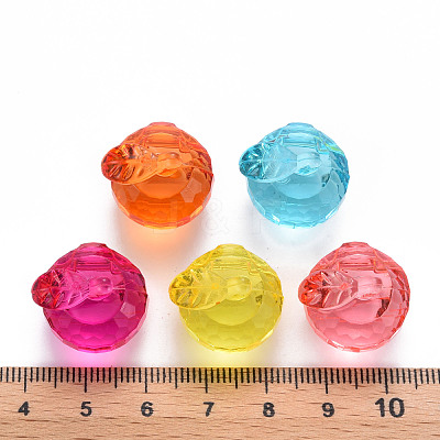 Transparent Acrylic Pendants TACR-T024-05B-1