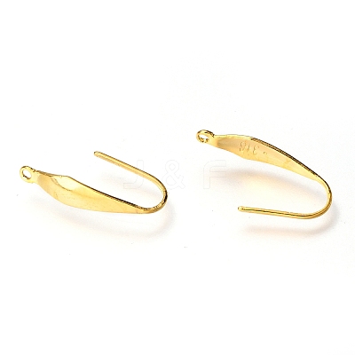 316 Surgical Stainless Steel Earring Hooks STAS-P166-10G-1