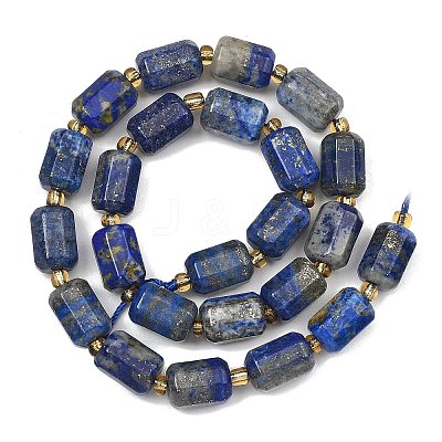 Natural Lapis Lazuli Beads Strands G-D103-A02-1