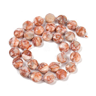 Natural Red Netstone Beads Strands G-C116-A71-01-1