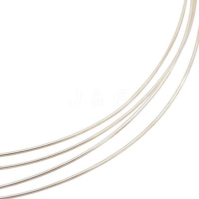 1Pc 999 Fine Silver Wire STER-BC0001-66B-1