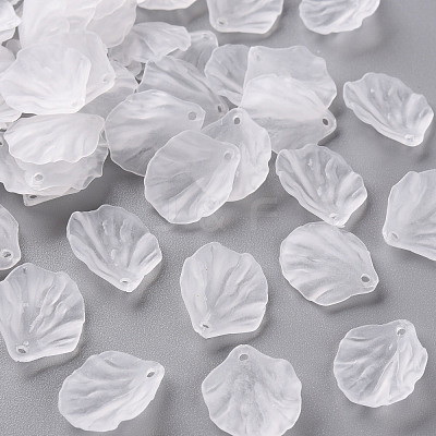 Transparent Frosted Acrylic Pendants MACR-S371-01A-701-1