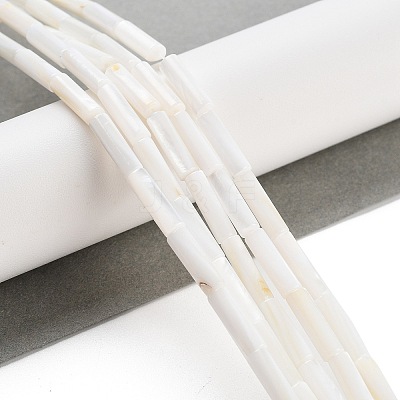 Freshwater Shell Beads Strands BSHE-L037-13-1