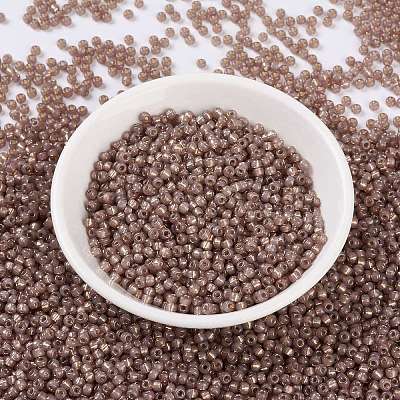 MIYUKI Round Rocailles Beads SEED-X0055-RR0641-1