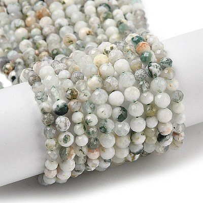 Natural Tree Agate Beads Strands G-G189-D12-03-1