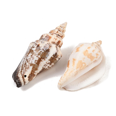 Natural Conch Shell Beads BSHE-O007-57-1