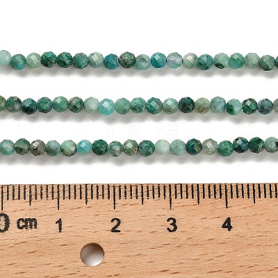 Natural Chrysocolla Beads Strands G-K373-B05-02-1