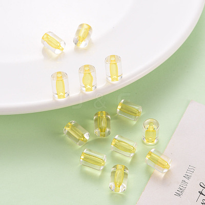 Transparent Acrylic Beads TACR-S154-17A-81-1
