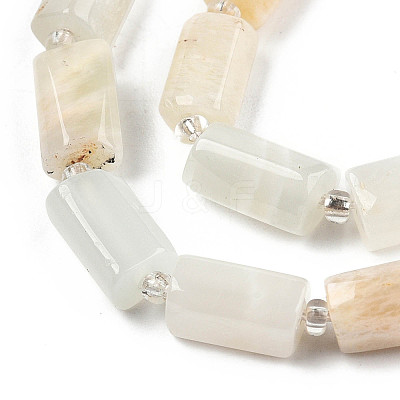 Natural White Moonstone Beads Strands X-G-N327-06C-1