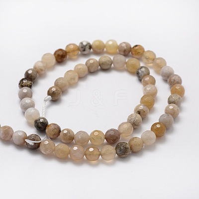 Faceted Round Natural Ocean Fossil Agate Bead Strands G-L437-04-8mm-1